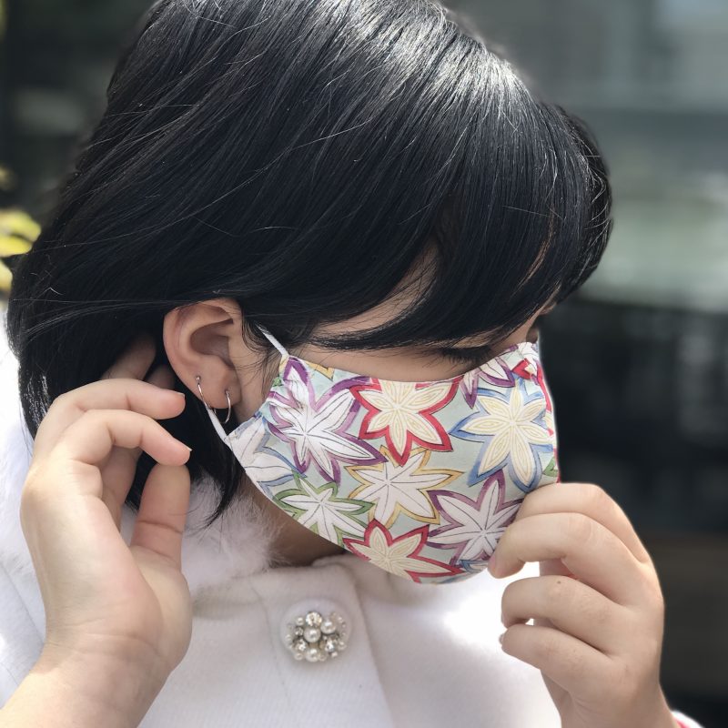 iwasakimono